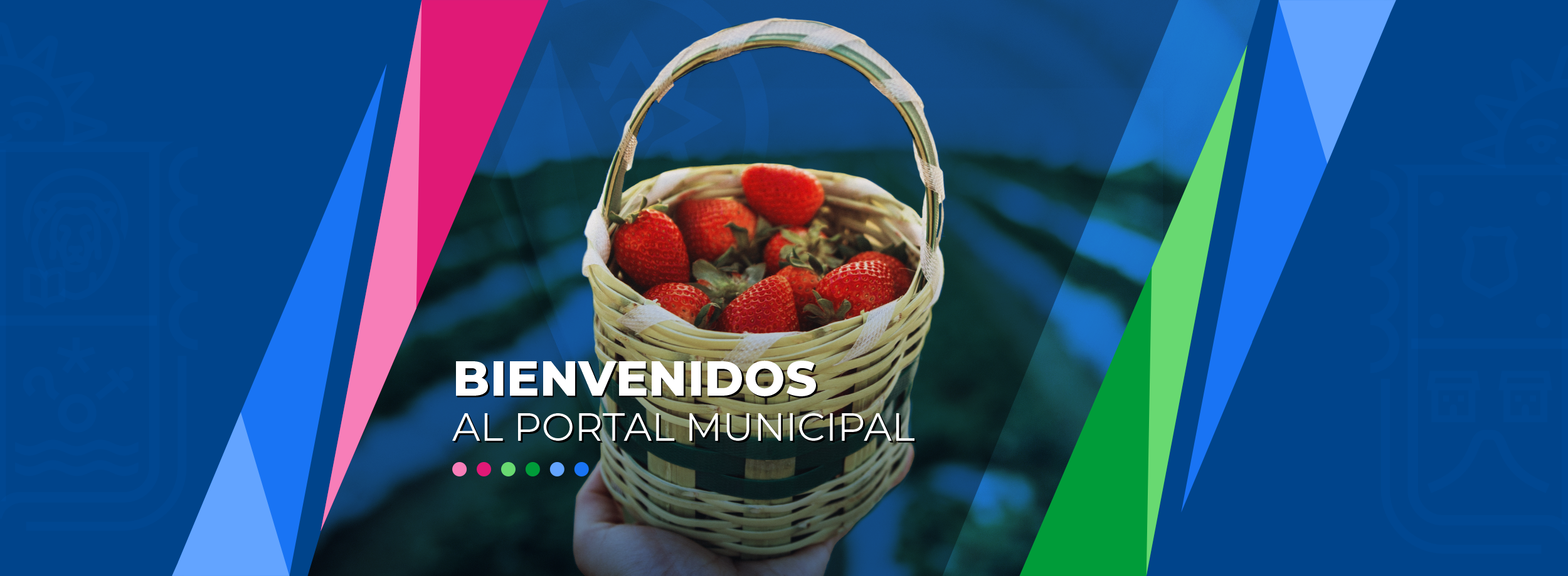 Gobierno Municipal de Irapuato – Portal Oficial del Gobierno Municipal de  Irapuato, Guanajuato